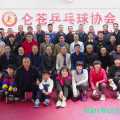 仑苍乒乓球协会